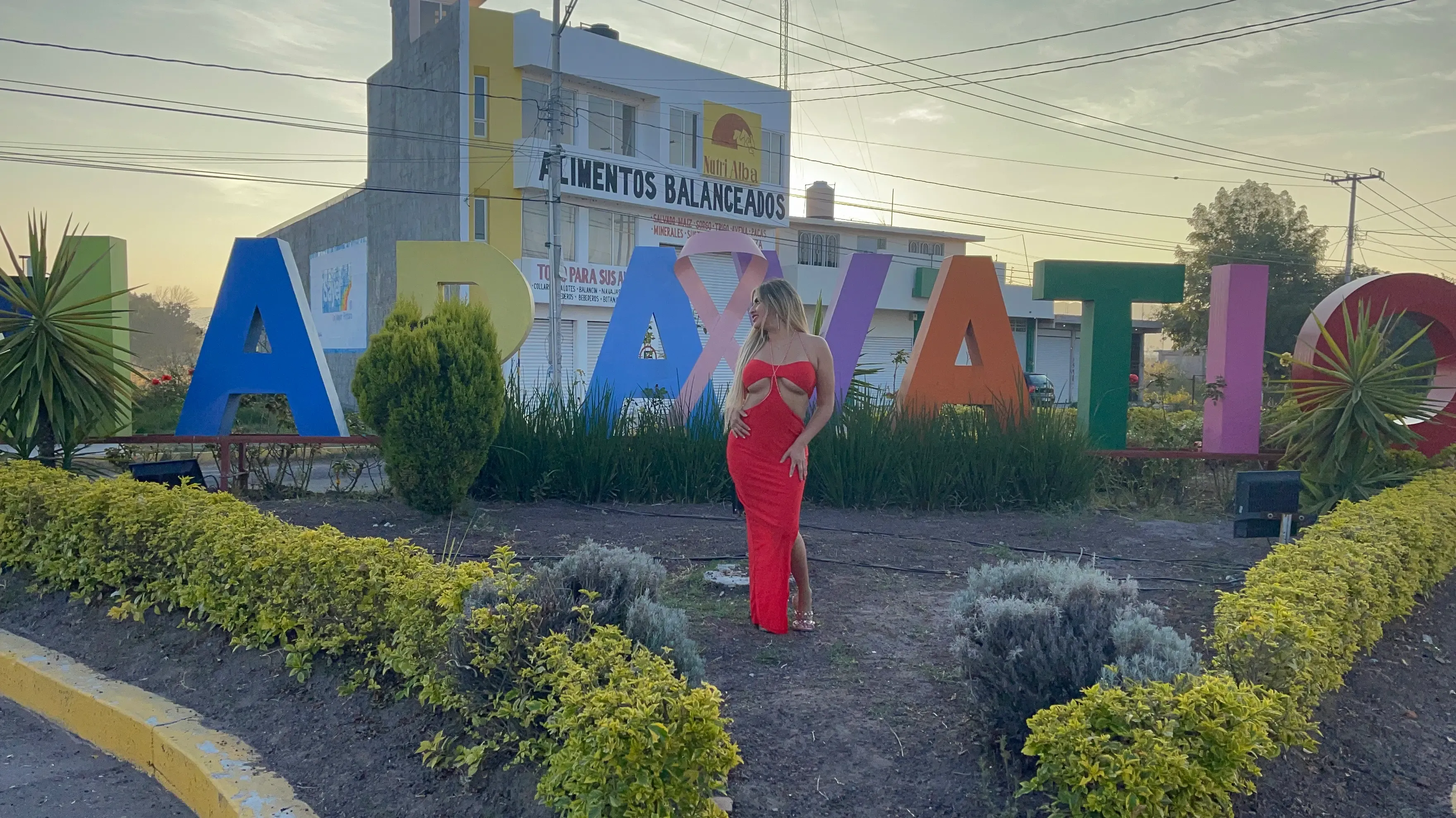 Miniatura: Retos y tendencias